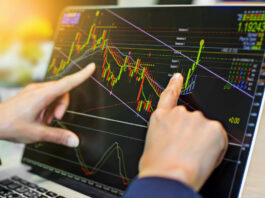 Личный кабинет Робофорекс: почему трейдеры охотно регистрируются на сайте брокера, что для этого потребуется, зачем нужна верификация данных и сколько она продлится при регистрации