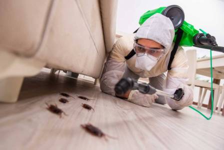 Избавление от Клопов Навсегда с “Марафет”