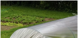 Какая бывает пленка из полиэтилена: где ее применяют