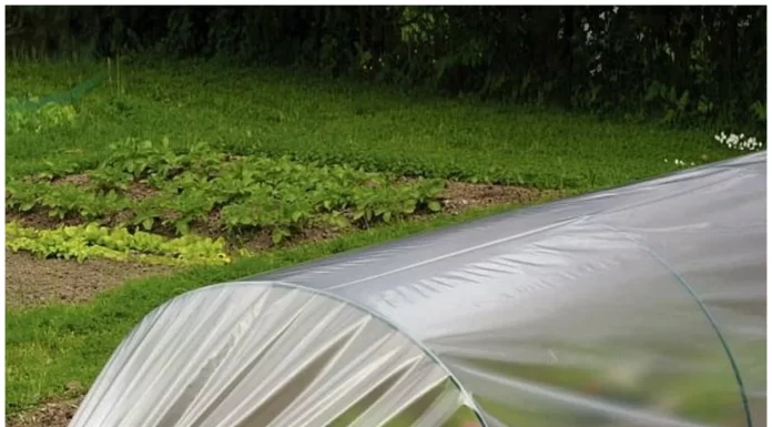 Какая бывает пленка из полиэтилена: где ее применяют