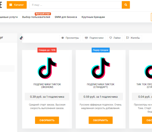 Какие бренды выгодно продвигать в ТикТоке: какими именно способами