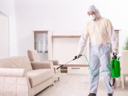 Уничтожение клопов: эффективные методы борьбы с паразитами