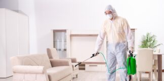 Уничтожение клопов: эффективные методы борьбы с паразитами