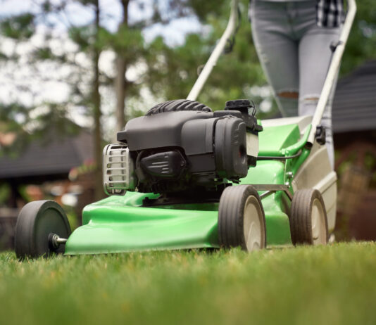 Как выбрать садовую технику: советы по выбору для дачи и частного дома